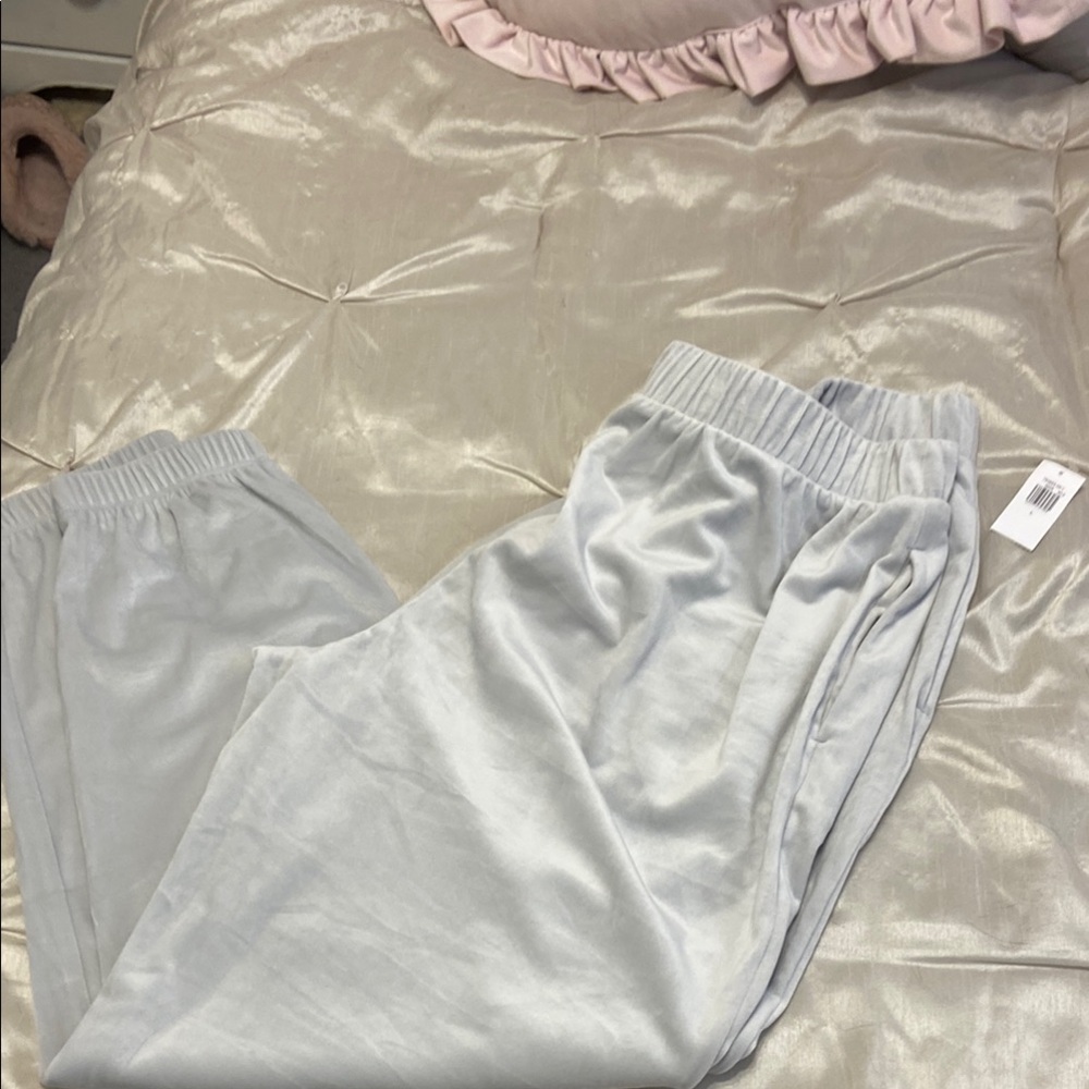 Silver silky velvet jogging pants